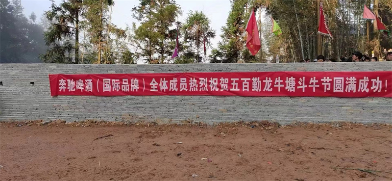 團(tuán)隊風(fēng)采